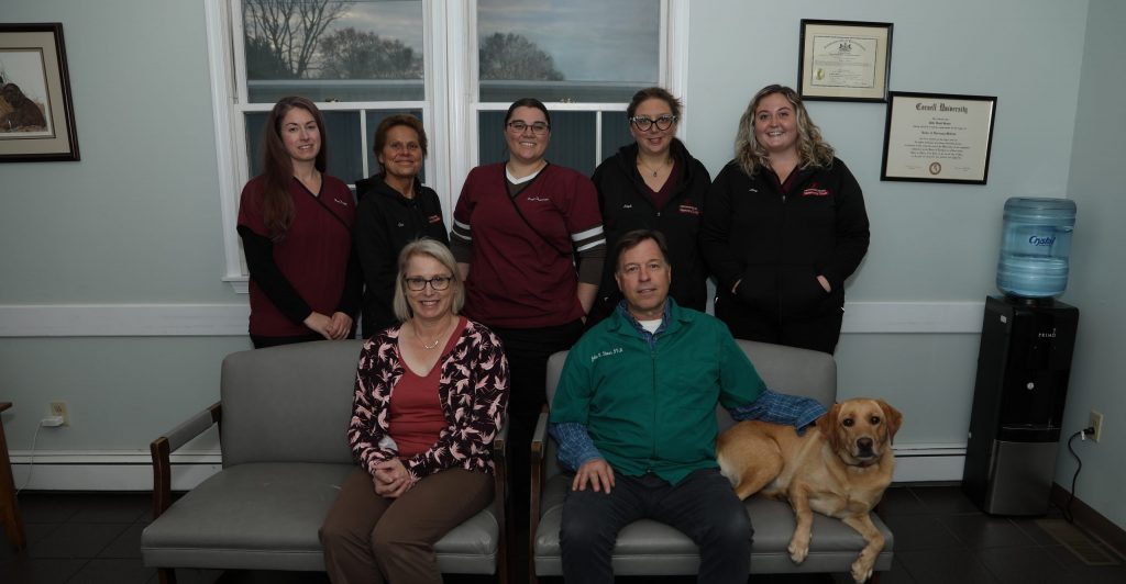 mechanicsburgvetclinic.com